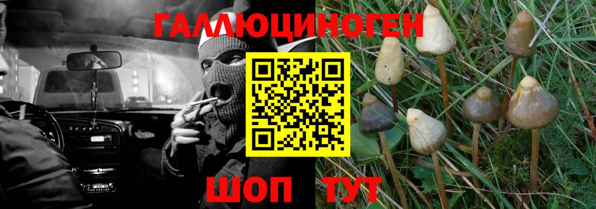Псилоцибиновые грибы ЛСД  Вход с VPN  Ялта  Галлюциногенные грибы GOLDEN TEACHER 