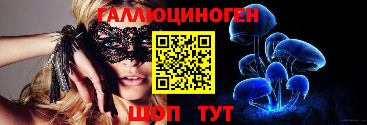 Псилоцибиновые грибы прущие грибы Ялта
